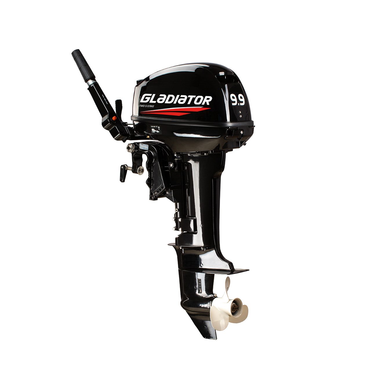 ЛОДОЧНЫЙ МОТОР GLADIATOR G9.9FHS в Одинцово