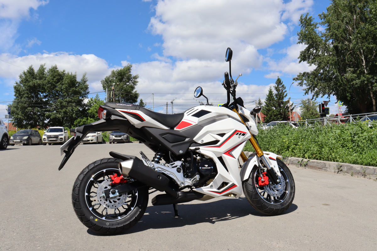 Мотоцикл PROMAX STRYKER 200(49) 2.0 в Одинцово