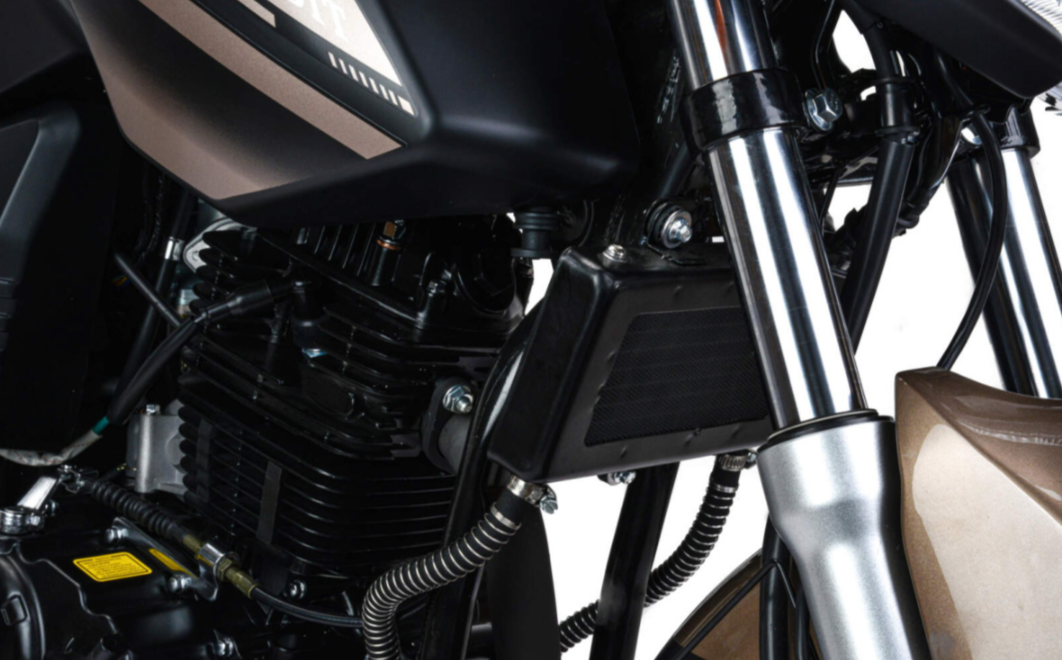 Мотоцикл MOTOLAND (МОТОЛЕНД) 300 BANDIT в Одинцово