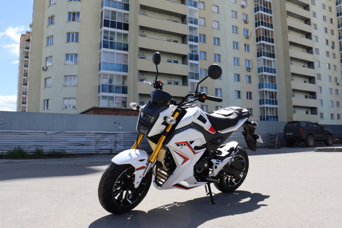 Мотоцикл PROMAX STRYKER 200(49) 2.0 в Одинцово