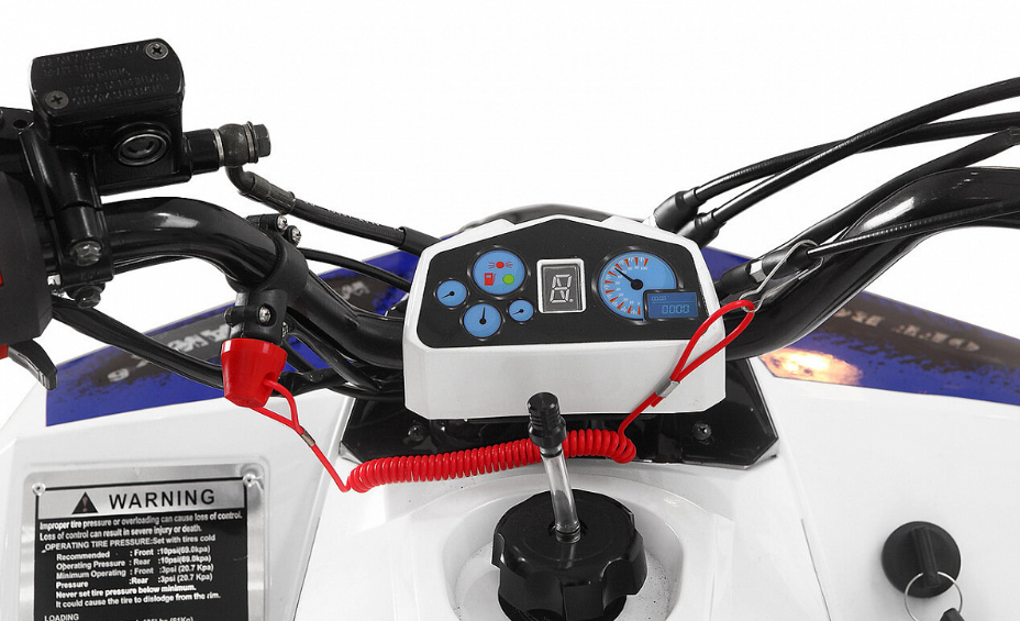 Квадроцикл Yacota Raposa 110 в Одинцово