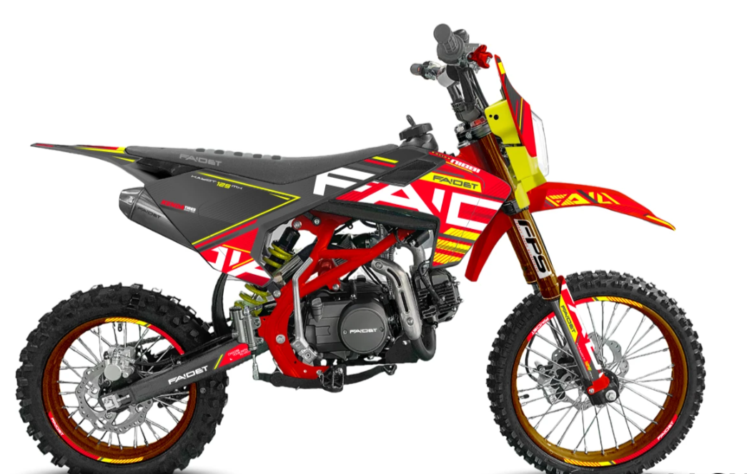 Питбайк FAIDET KAYOT 150E-PRO 19/16 в Одинцово