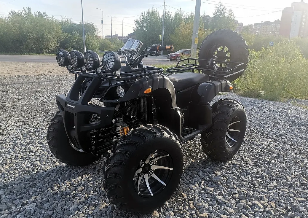 Квадроцикл PROMAX LEO 300 Max (кардан) в Одинцово