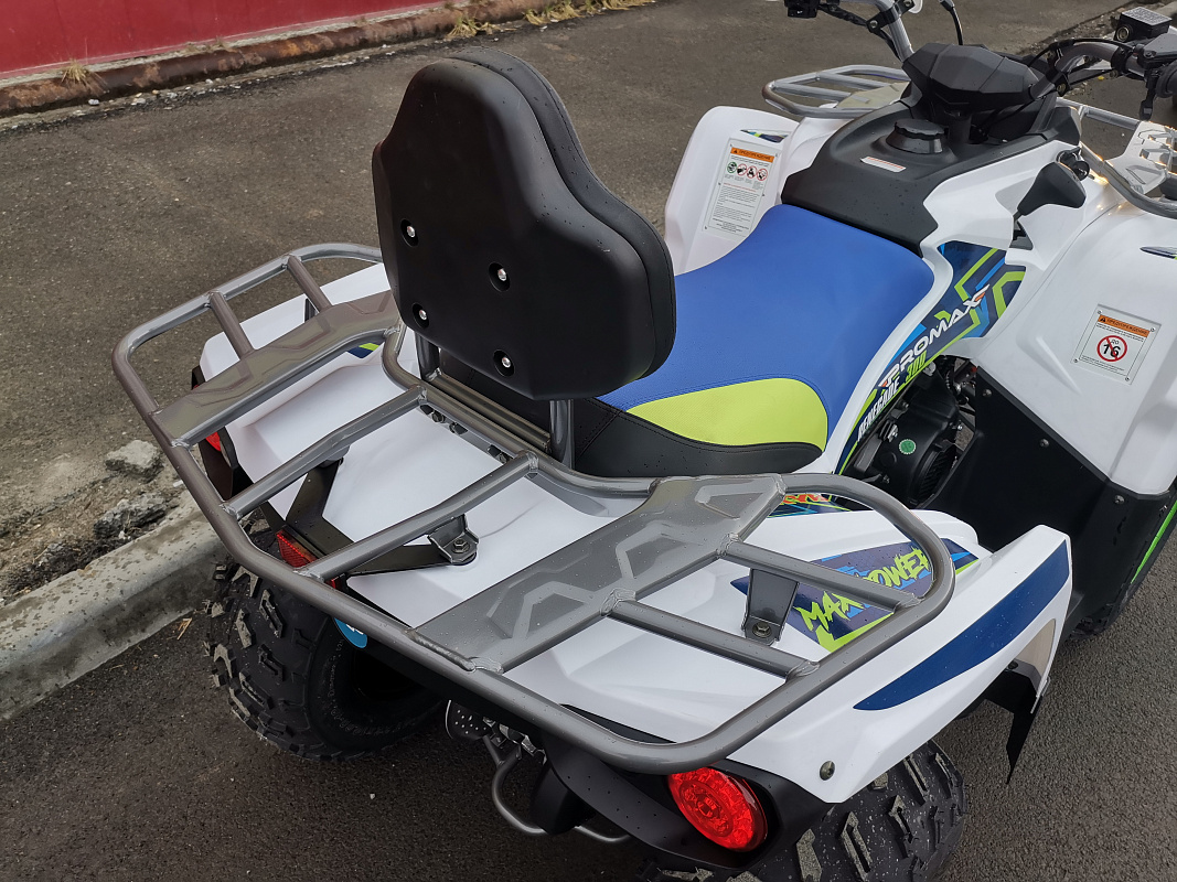 Квадроцикл PROMAX RENEGADE 280 LUX (2025) в Одинцово