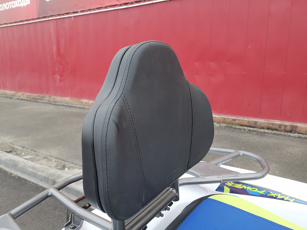 Квадроцикл PROMAX RENEGADE 280 LUX (2025) в Одинцово