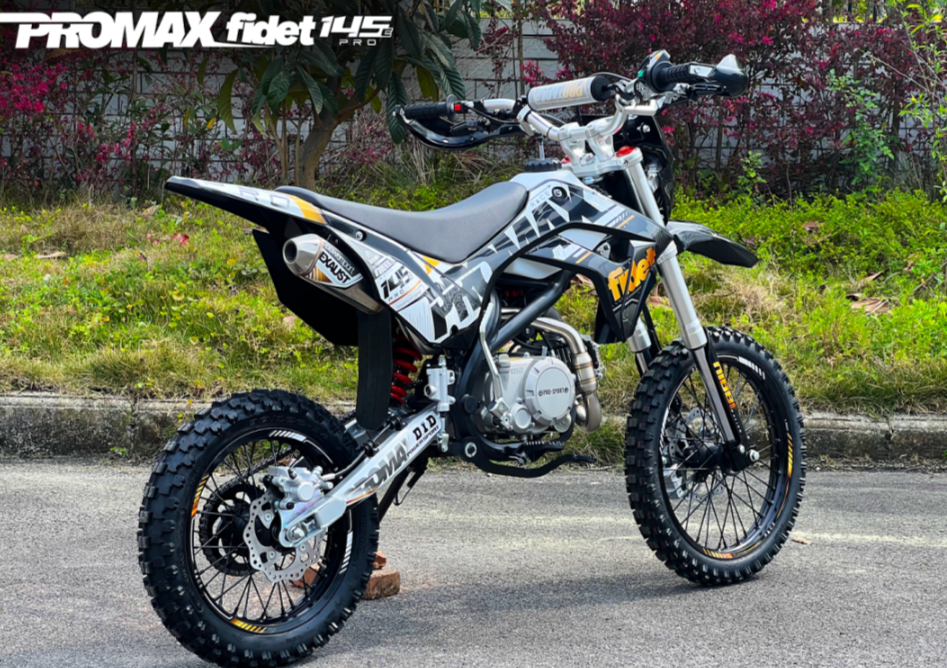 Мотоцикл (питбайк) PROMAX FIDET (ФАЙДЕТ) 145E PRO 17/14 в Одинцово