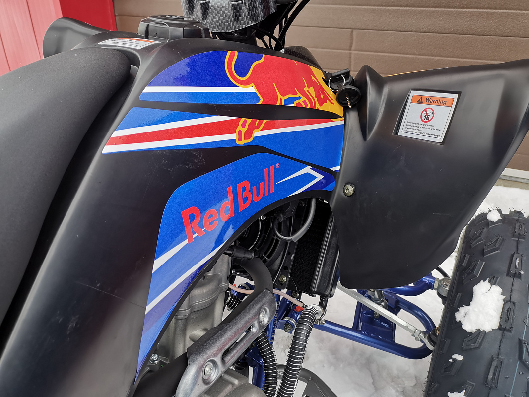 Квадроцикл PROMAX RAPTOR 300 NEW RedBull в Одинцово