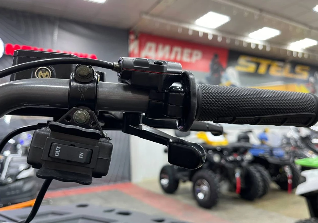 Квадроцикл PROMAX RENEGADE 300 LONG WINCH PRO (2025) в Одинцово