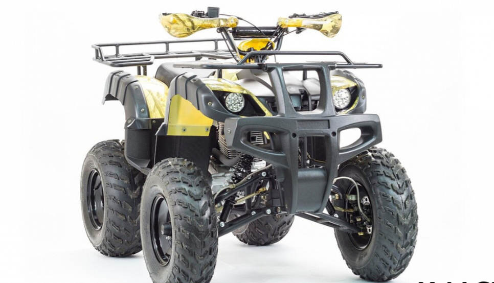 Квадроцикл MOTOLAND (МОТОЛЕНД) 250 ADVENTURE в Одинцово