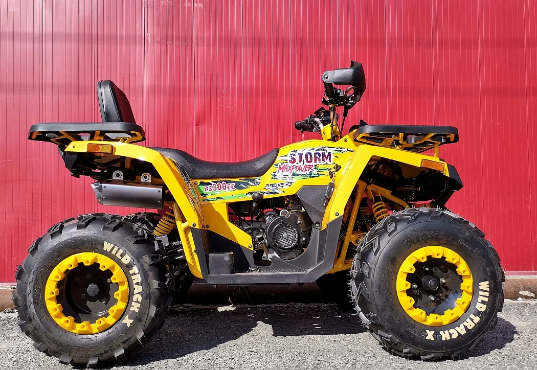 Квадроцикл PROMAX STORM 280 LUX в Одинцово