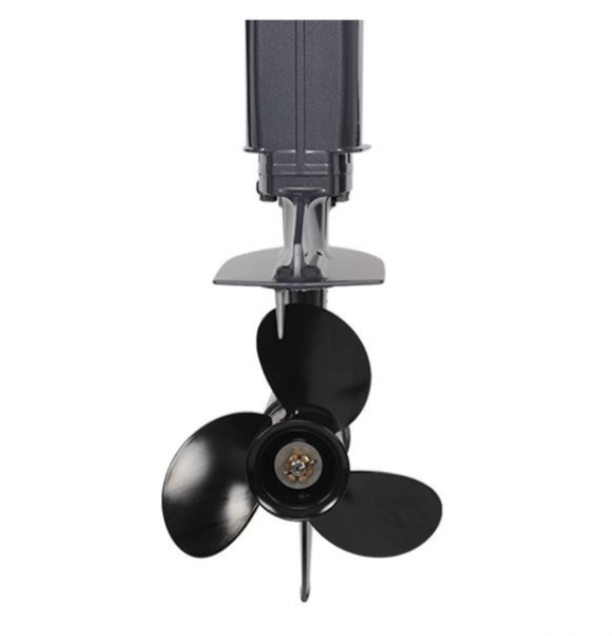 Лодочный мотор ALLFA CG Т40FW S в Одинцово