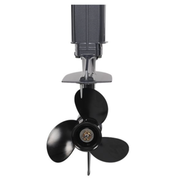 Лодочный мотор ALLFA CG Т40FWT S в Одинцово