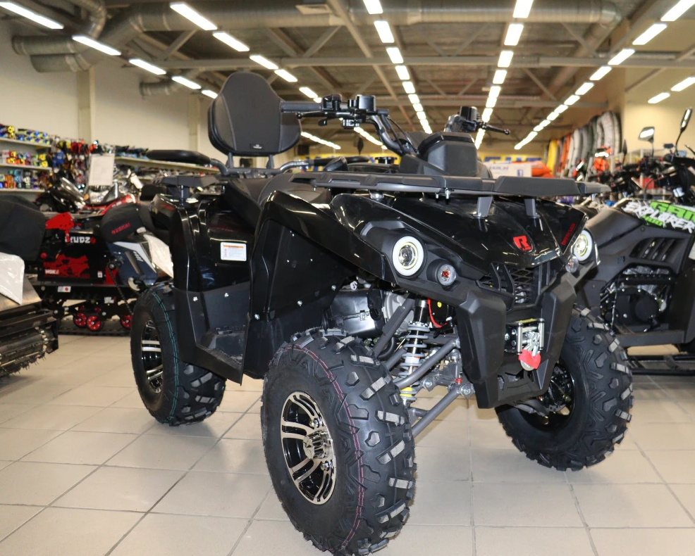 Квадроцикл PROMAX RENEGADE 300 LONG WINCH PRO (2025) в Одинцово