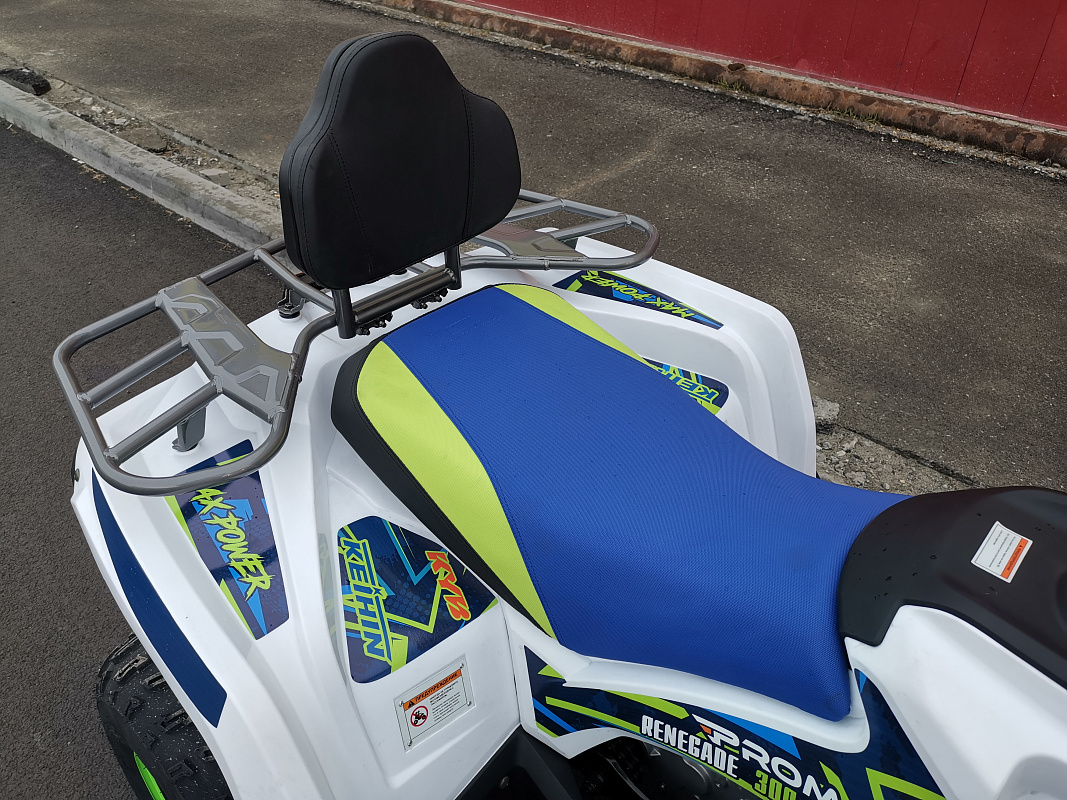 Квадроцикл PROMAX RENEGADE 280 LUX (2025) в Одинцово