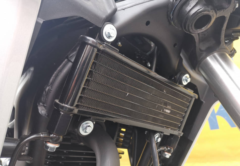 Мотоцикл MOTOLAND (МОТОЛЕНД) 250 CB250 (172FMM-5/PR250) (2022 г.) в Одинцово