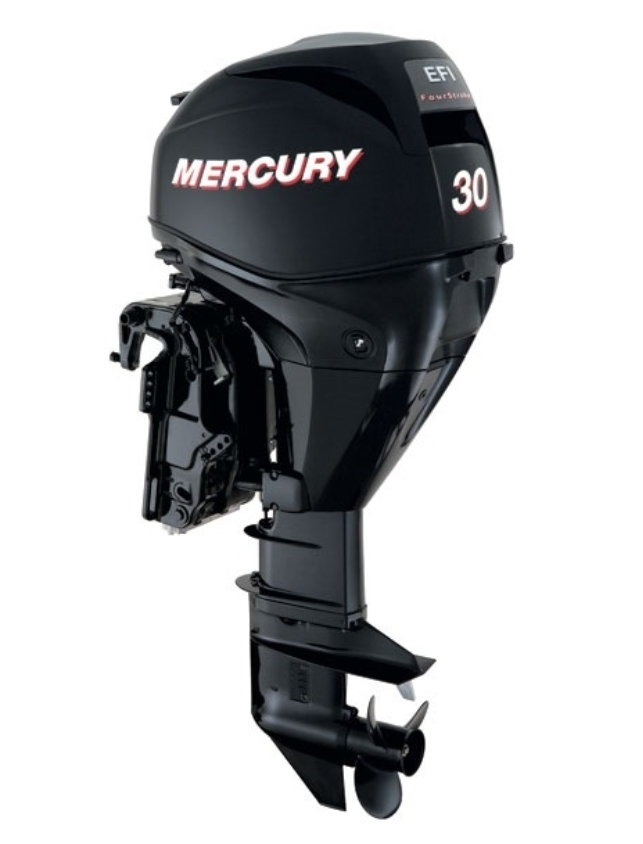ЛОДОЧНЫЙ МОТОР MERCURY  F 30 ELH GA EFI в Одинцово