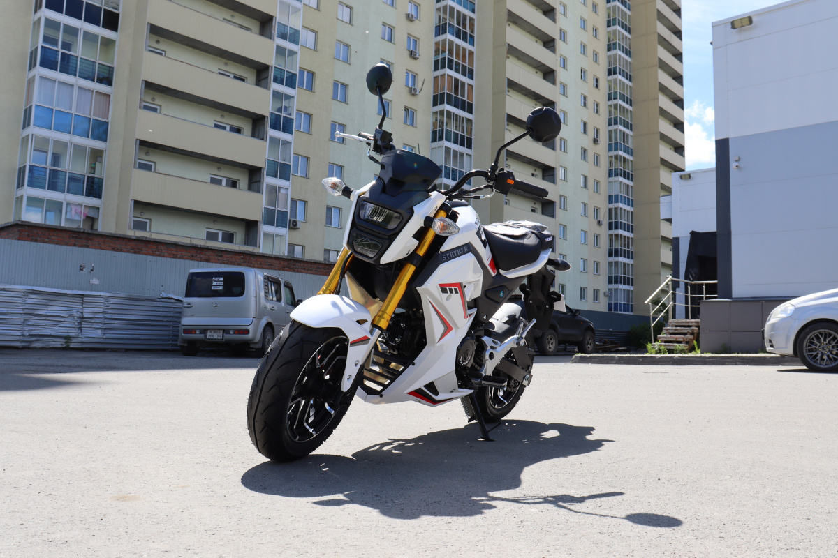 Мотоцикл PROMAX STRYKER 200(49) 2.0 в Одинцово