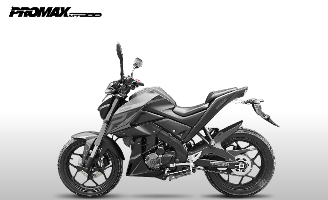 Мотоцикл PROMAX MT300 в Одинцово