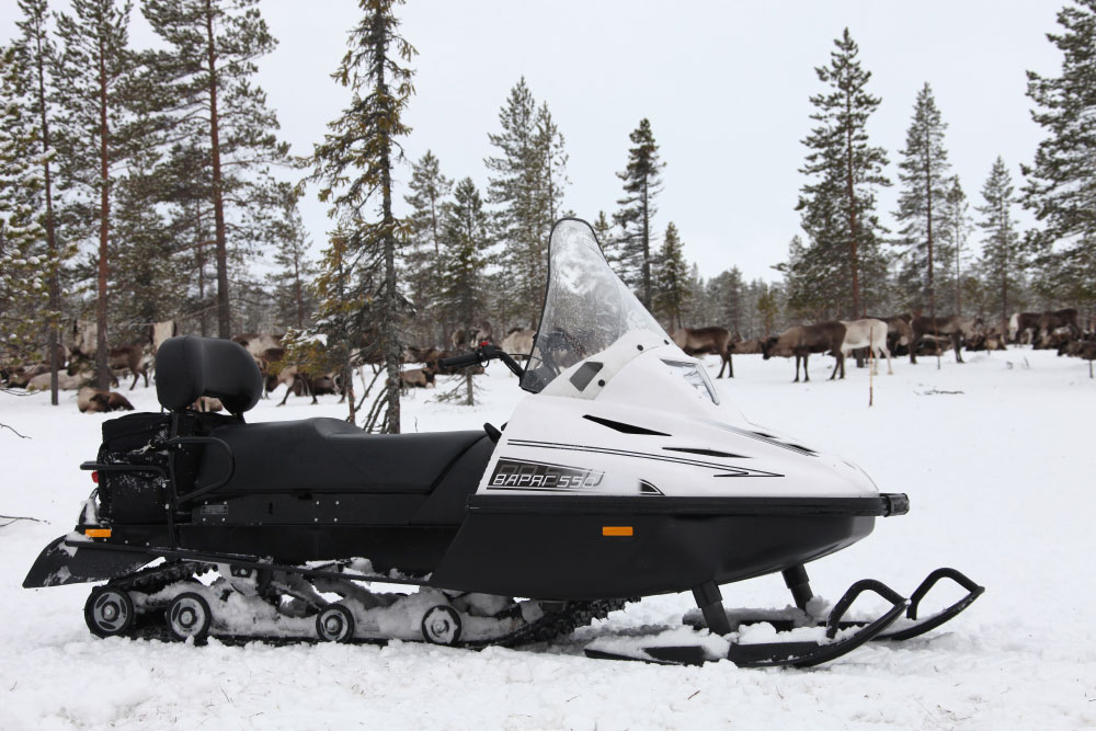 СНЕГОХОД РМ ТАЙГА ВАРЯГ 550 V в Одинцово