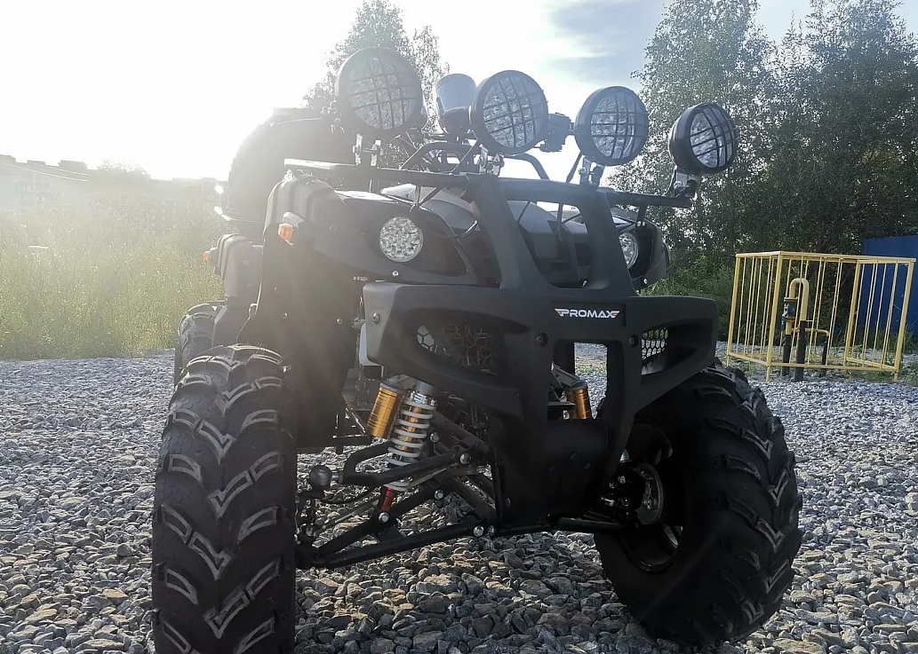 Квадроцикл PROMAX LEO 300 Max (кардан) в Одинцово