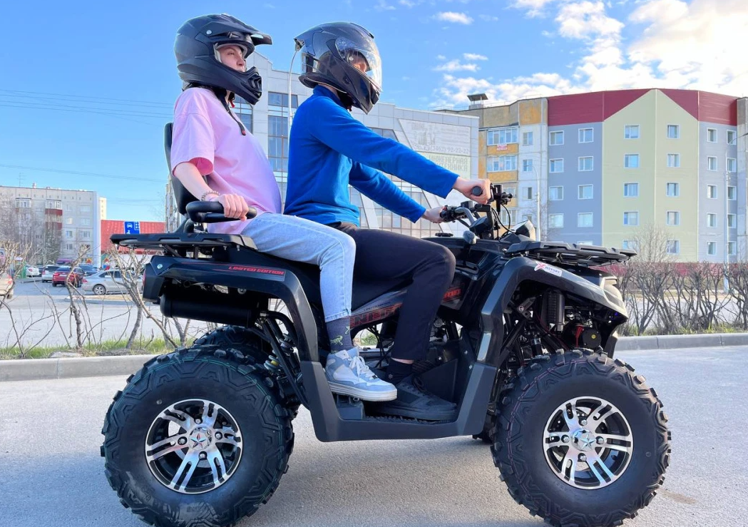 Квадроцикл PROMAX RENEGADE 300 LONG WINCH PRO (2025) в Одинцово