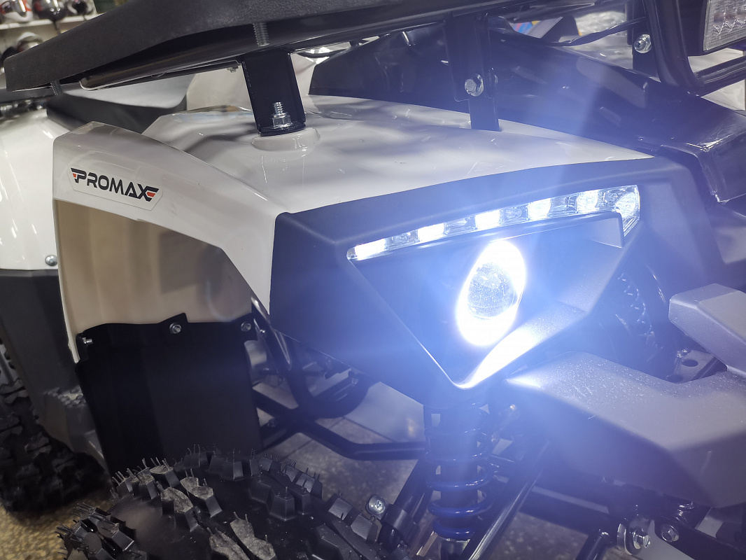 Квадроцикл PROMAX WILD 175 LUX в Одинцово