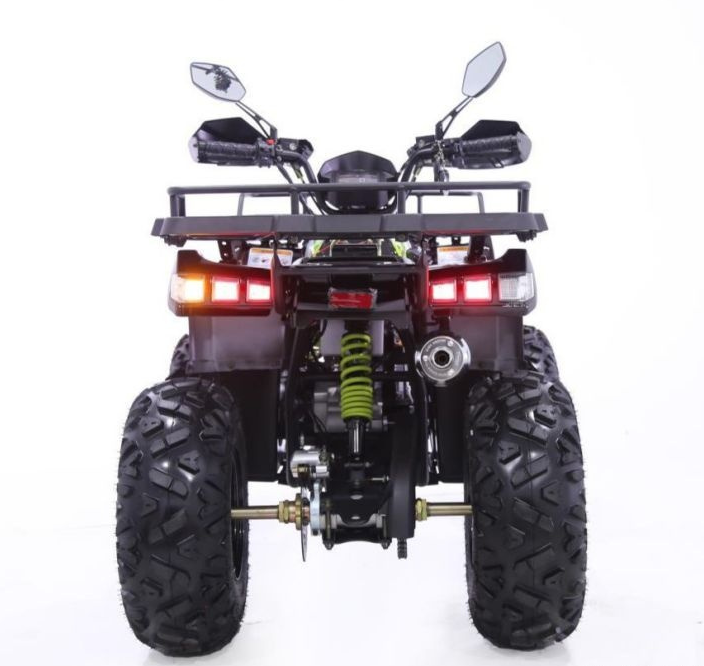 Квадроцикл YACOTA WARRIOR 200 PRO в Одинцово