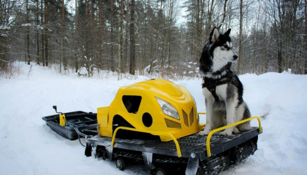 Мотобуксировщик LEBEDEV MOTORS ВОЛКОДАВ POWER V13 в Одинцово