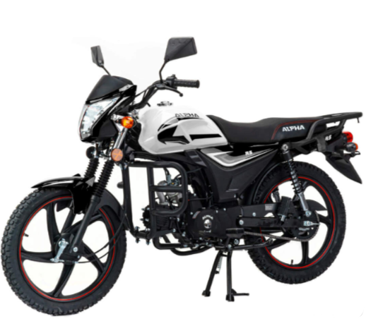 Мопед MOTOLAND (МОТОЛЕНД) Альфа RS 11 (LM48-B) в Одинцово