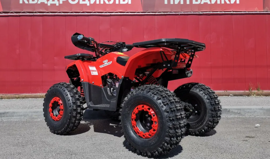 Квадроцикл PROMAX WILD 175 BASIC в Одинцово