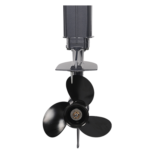 Лодочный мотор ALLFA CG T9.9(20) MAX Limit в Одинцово