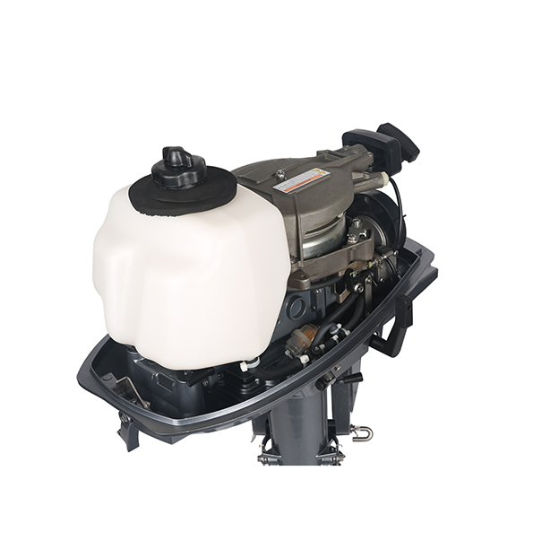 ЛОДОЧНЫЙ МОТОР ALLFA CG T5 в Одинцово