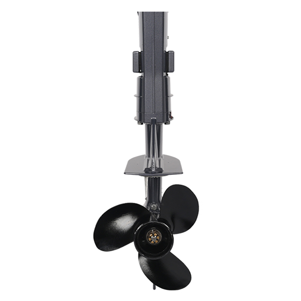 ЛОДОЧНЫЙ МОТОР ALLFA CG T5 в Одинцово