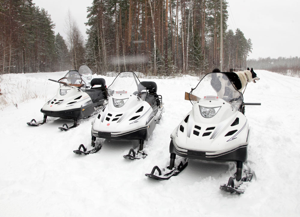 СНЕГОХОД РМ ТАЙГА ВАРЯГ 550 V в Одинцово