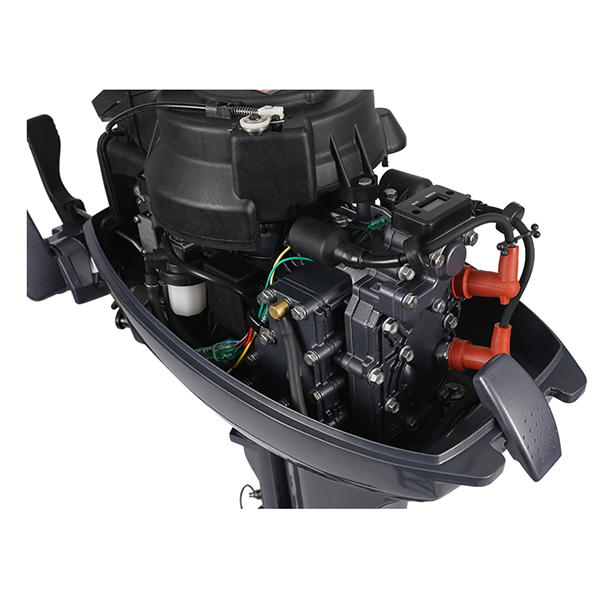 ЛОДОЧНЫЙ МОТОР ALLFA CG Т9,9 Limit в Одинцово