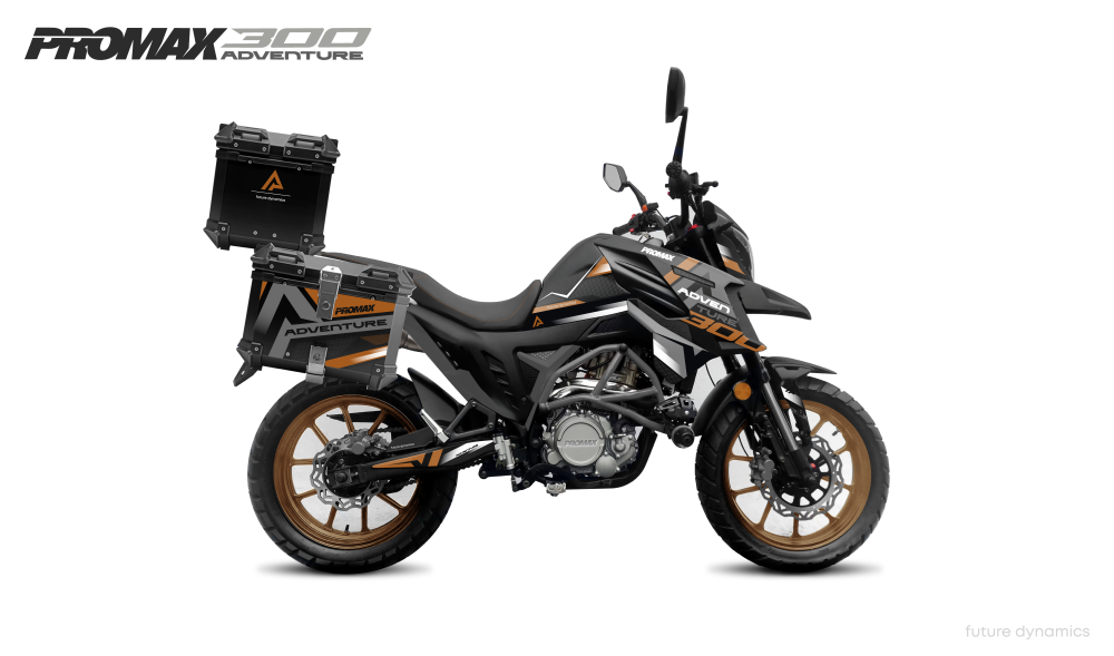 Мотоцикл PROMAX ADVENTURE 300 PRO EFI (NB300) в Одинцово