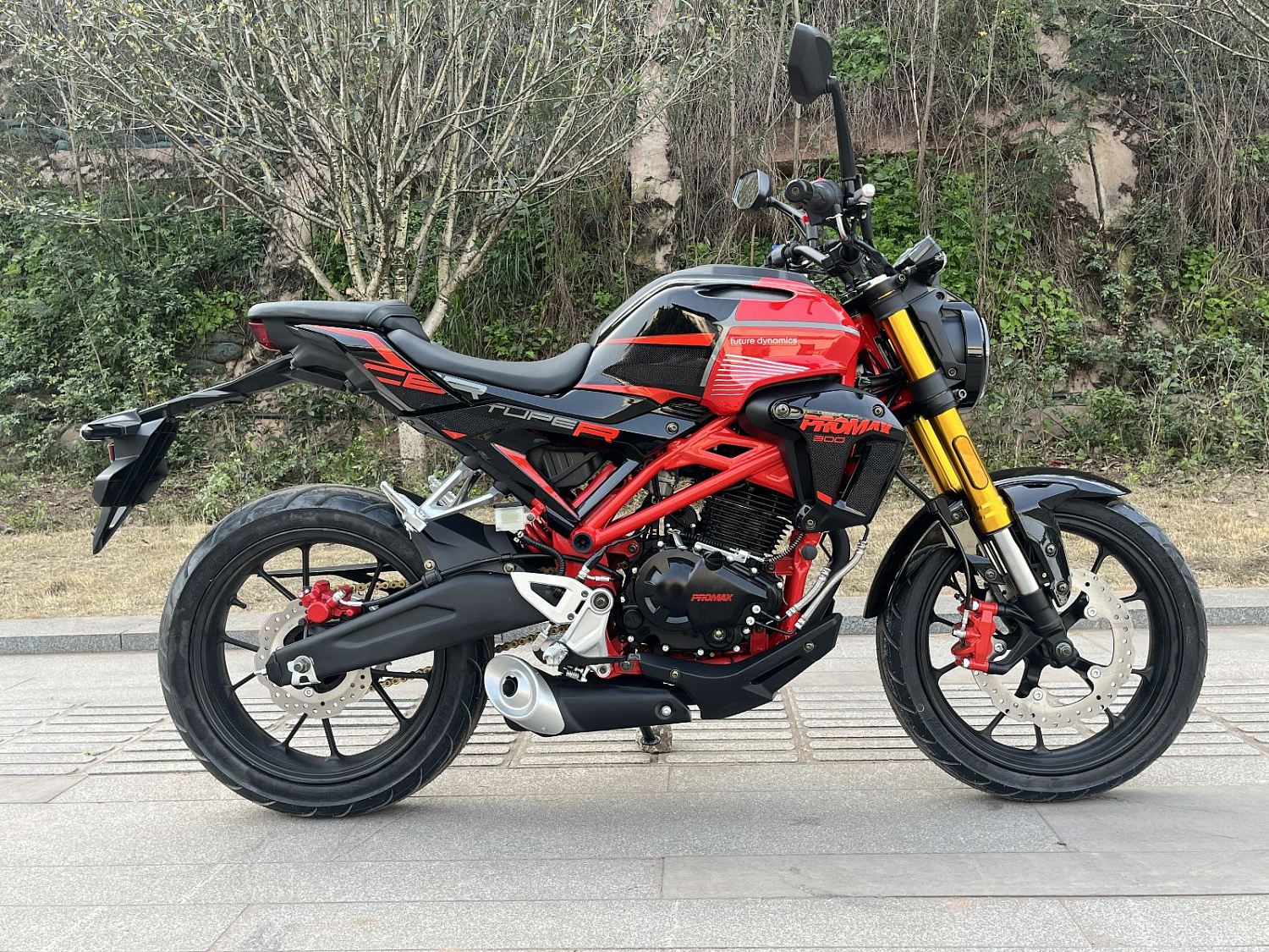 Мотоцикл PROMAX CB300 в Одинцово