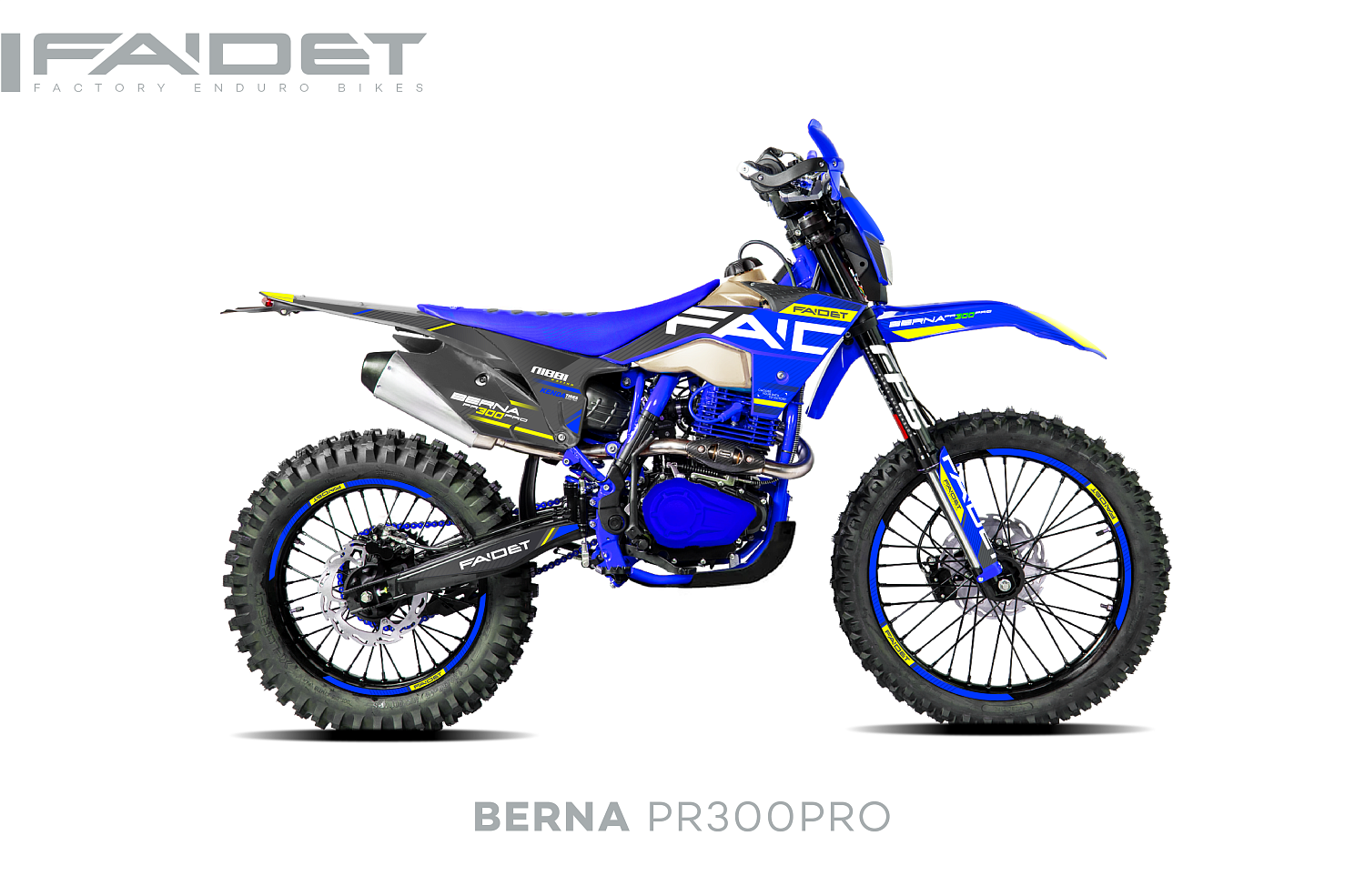 Кроссовый мотоцикл FAIDET BERNA PR300-PRO FPS в Одинцово