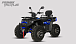 Квадроцикл PROMAX TAURUS 300 MAX-PRO LONG в Одинцово