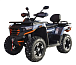 Квадроцикл MOTOLAND (МОТОЛЕНД) 300 MAX X в Одинцово