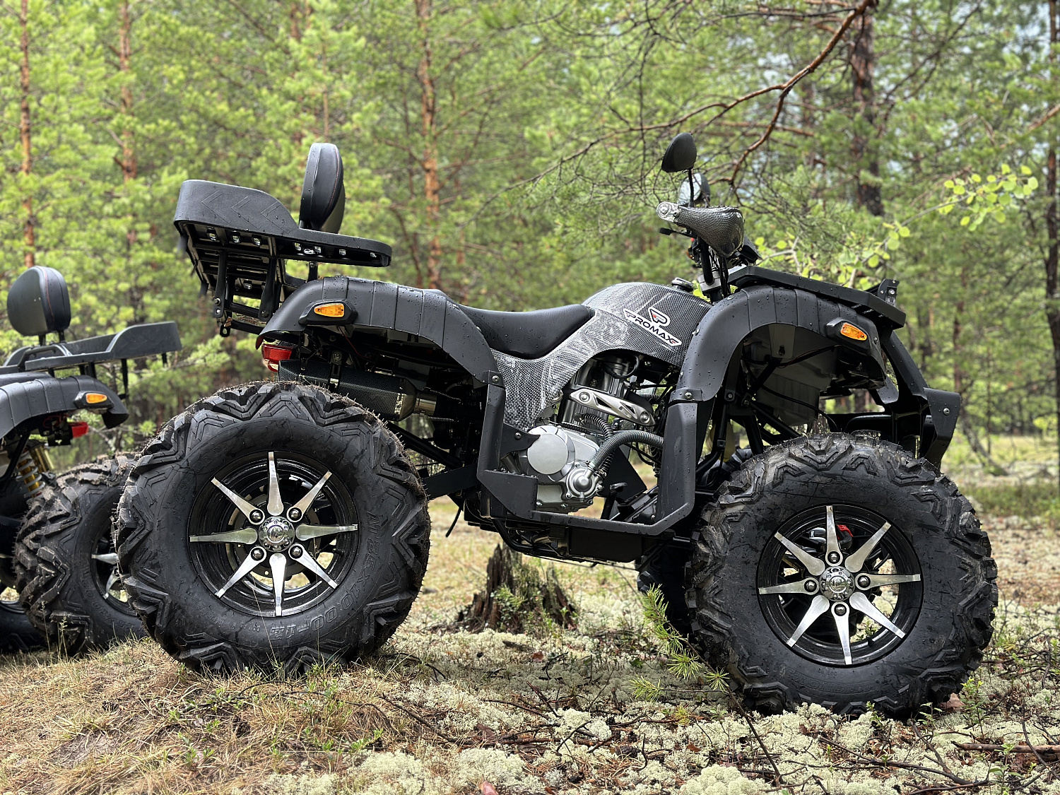 Квадроцикл PROMAX 320 DOMINATOR (2025) в Одинцово