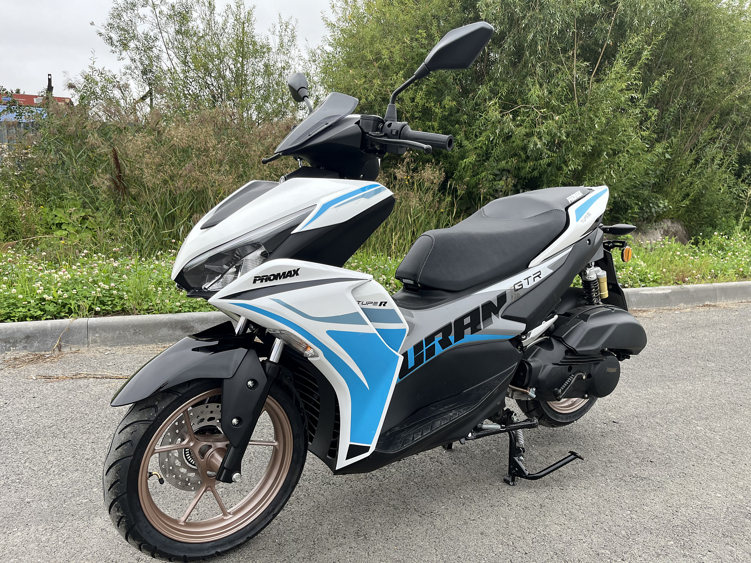 Скутер PROMAX TURAN 250 (49) в Одинцово