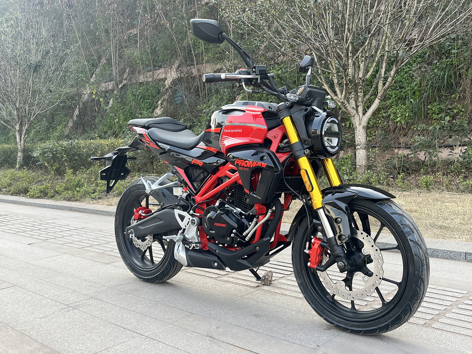 Мотоцикл PROMAX CB300 в Одинцово