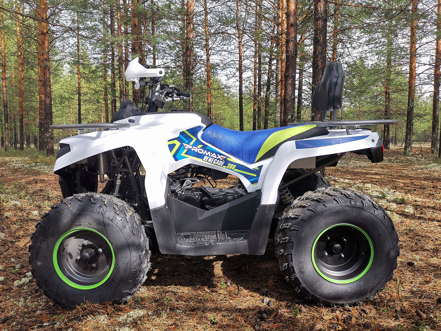 Квадроцикл PROMAX RENEGADE 280 (2025) в Одинцово