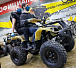 Квадроцикл PROMAX ATV 250 (2025) в Одинцово