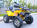 Квадроцикл MOTOLAND (МОТОЛЕНД) VOX200 WILD TRACK X PRO (баланс. вал) в Одинцово