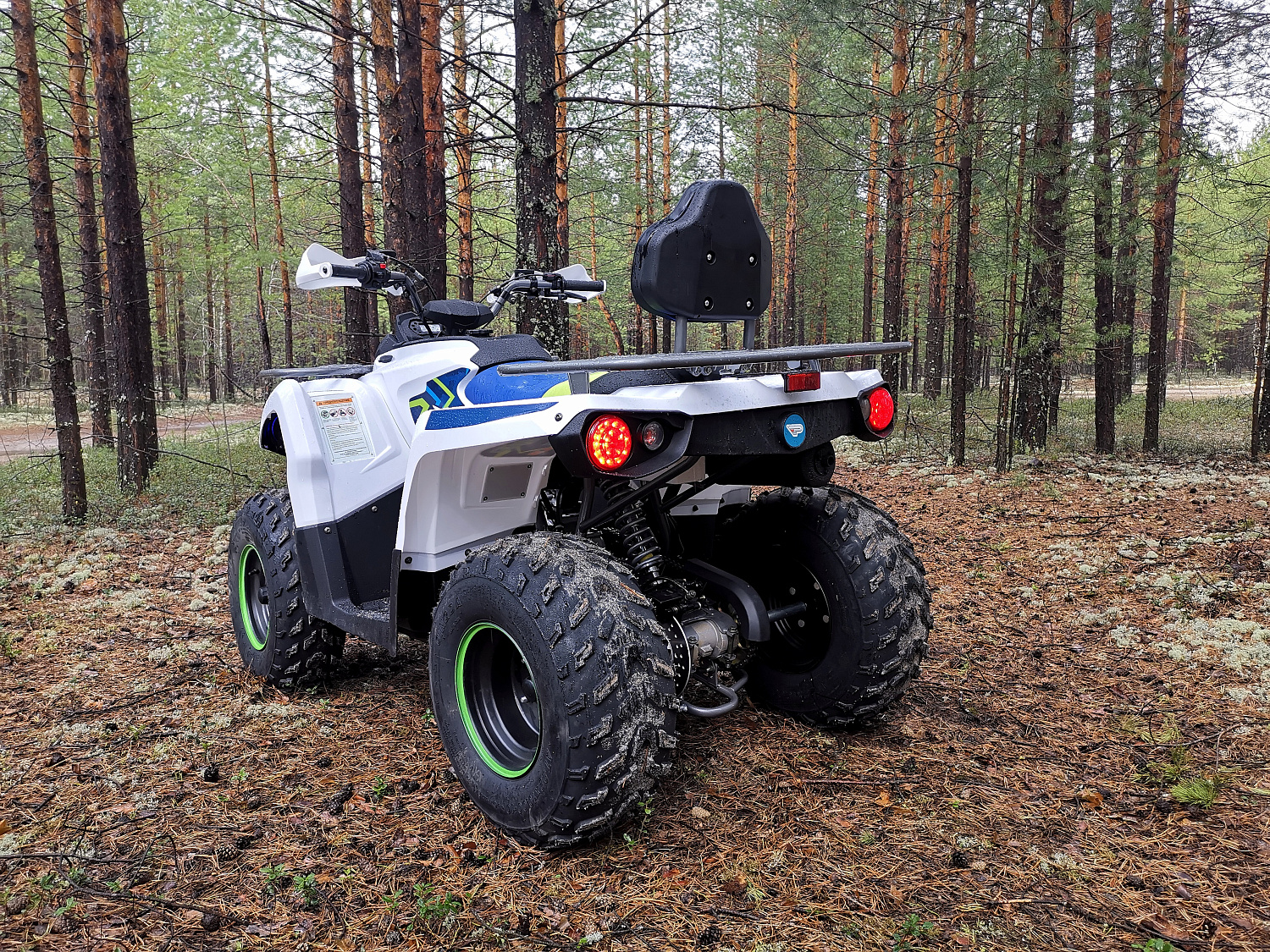 Квадроцикл PROMAX RENEGADE 280 (2025) в Одинцово