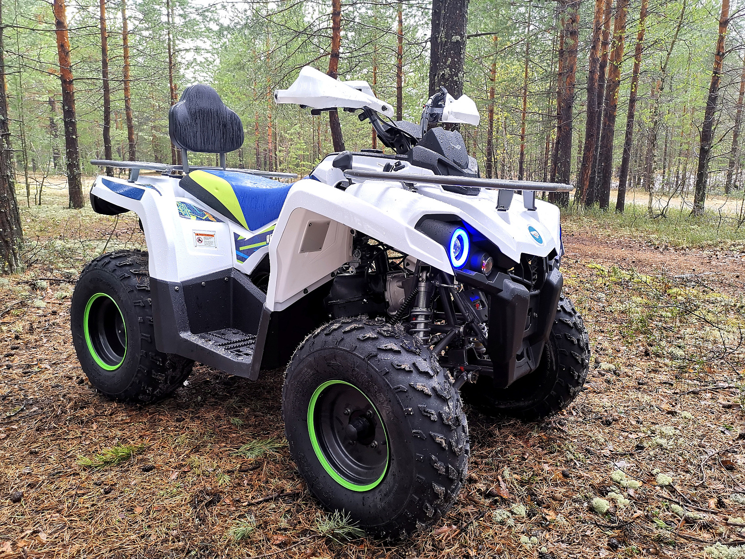 Квадроцикл PROMAX RENEGADE 280 (2025) в Одинцово