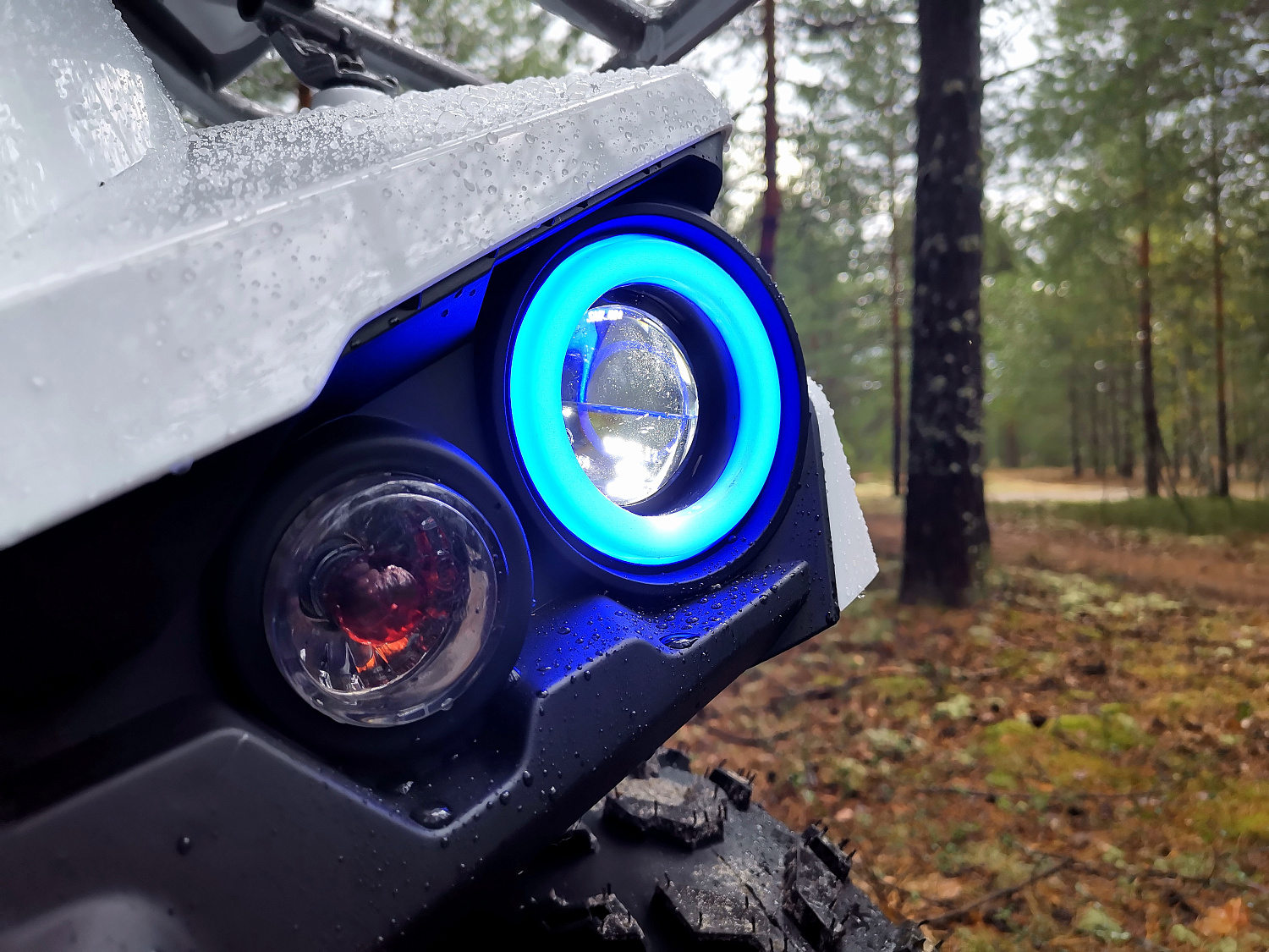 Квадроцикл PROMAX RENEGADE 280 (2025) в Одинцово