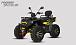 Квадроцикл PROMAX TAURUS 300 MAX-PRO LONG в Одинцово